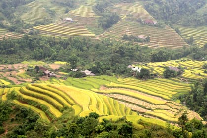 Trekking on the Trails of Northern Vietnam 9 days 8 nights