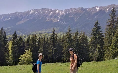 2-Day Cultural and Adventure Tour in Transylvania from Brașov