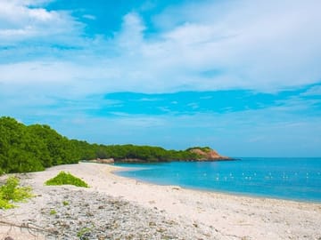 Trincomalee and Nilaveli Beach Tour from Dambulla