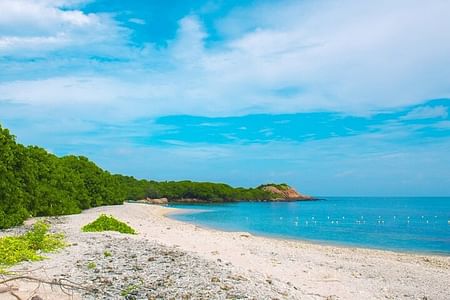 Trincomalee and Nilaveli Beach Adventure: Explore Culture & Nature