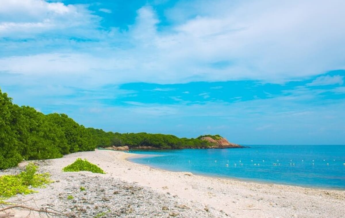 Trincomalee and Nilaveli beach Tour from Dambulla