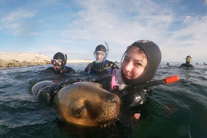 Snorkeling with Sea Lions in Puerto Madryn