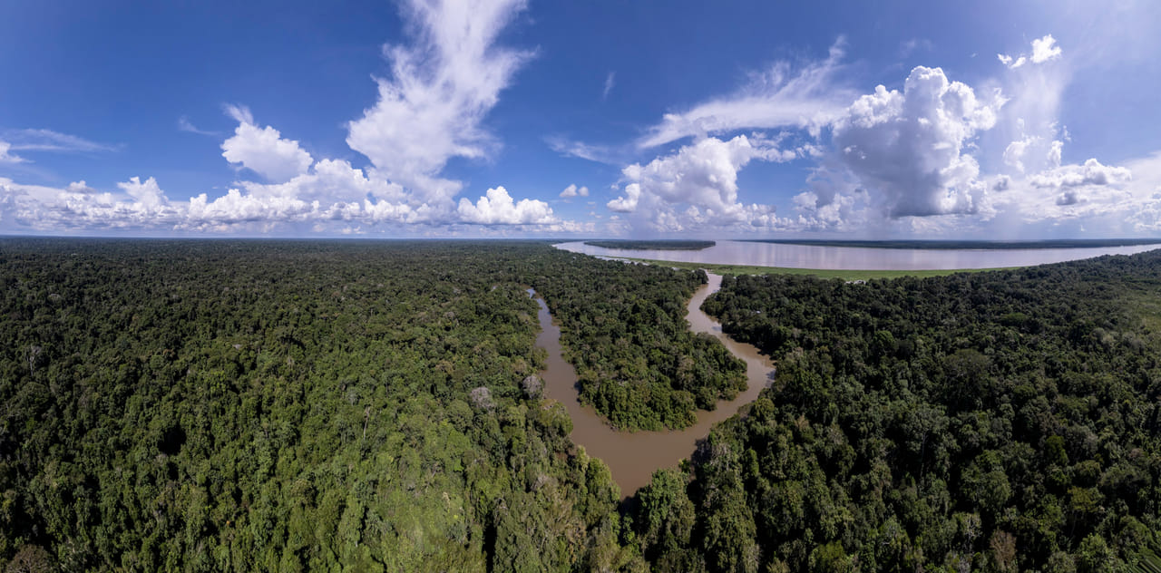 La Serenidad del Río en el Amazonas 2