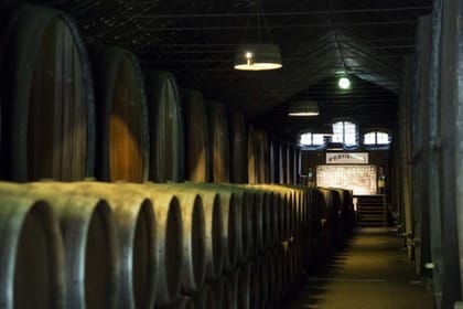 Lisbon Wine Tour: Explore Azeitão, Palmela, and Sesimbra
