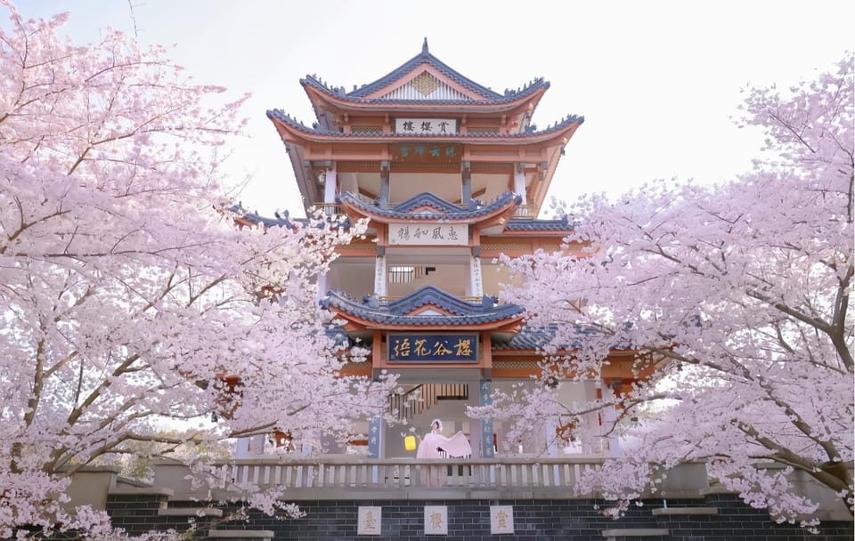Spring Day Trip from Shanghai to Wuxi Cherry Blossoms and Gardens