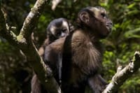 3-Day Manu National Park Tour from Cusco 2