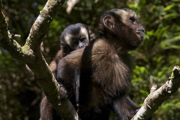 3-Day Manu National Park Tour from Cusco 2