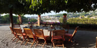 Apperitif winery experience