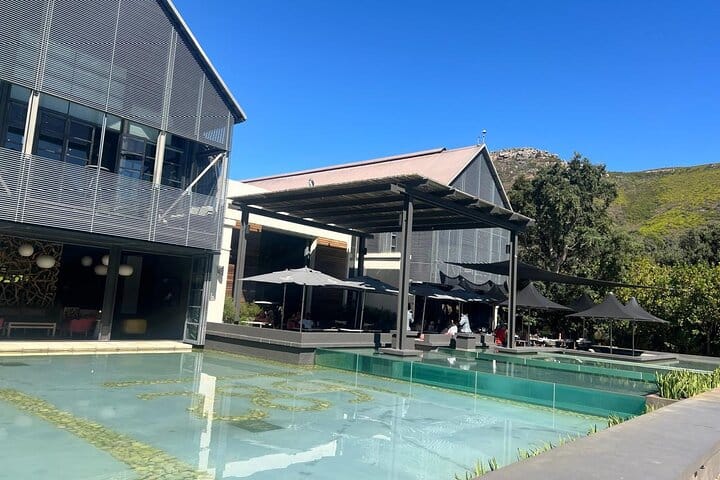 Cape Town Half-Day Tandem Paragliding and Wine Tasting Tour