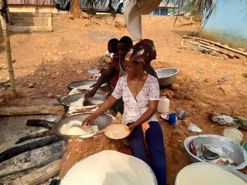 Gari Processing