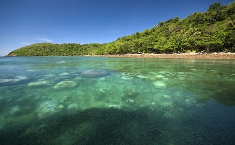 Snorkeling Adventure at Koh Talu Island near Hua Hin