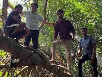 Mangrove Boat Tour in Aluthgama and Bentota, Sri Lanka