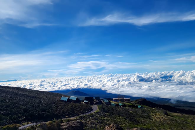 6-Day Mount Kilimanjaro Climb: Fast-Paced Machame Route Wilderness Challenge photo 6