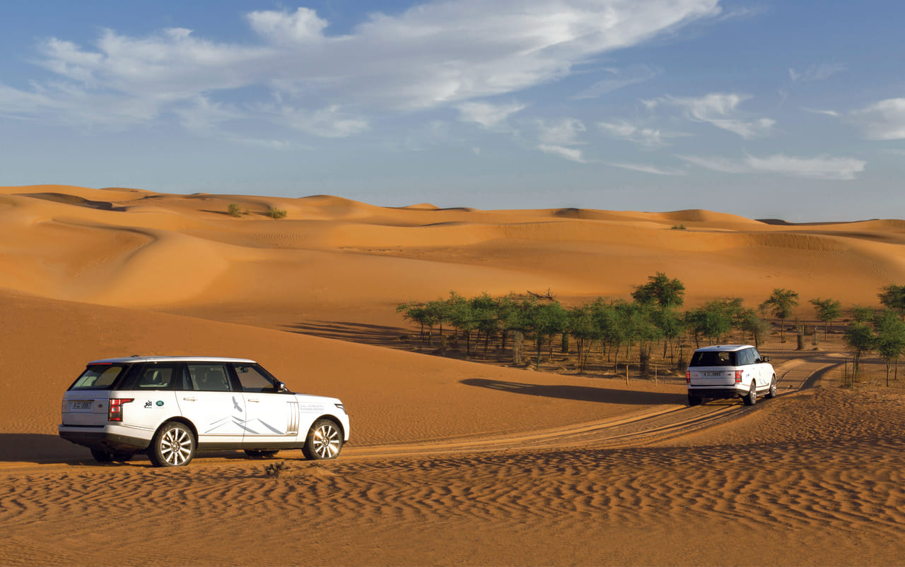 platinum desert safari