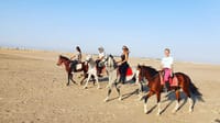 Premium 2 Hours Horse Riding, Desert Trail & Sea Beach - Hurghada 10