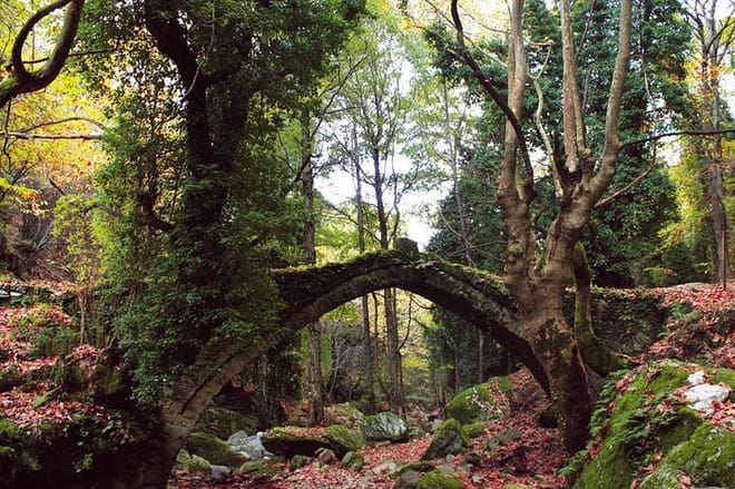 4-Days Arachova Volos and Pelion Private Tour from Athens 7