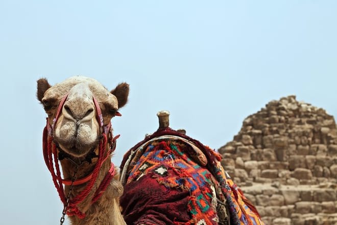 Agafay Desert Camel Ride - Half Day Trip - private tour  6