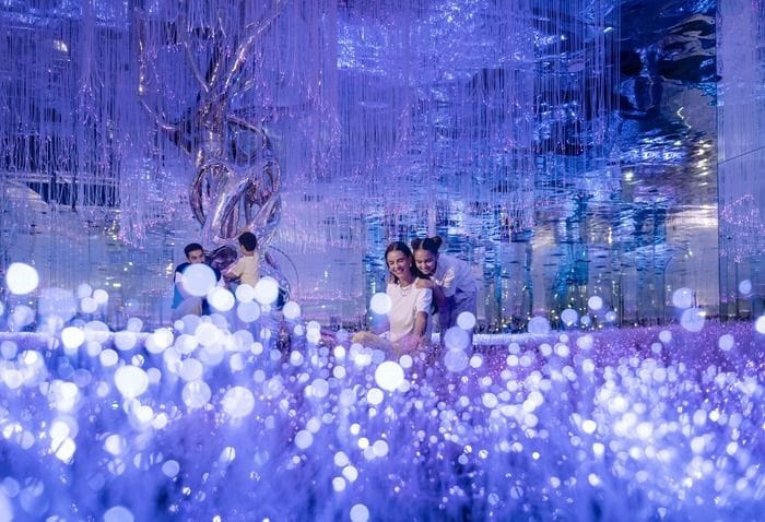 Dubai Dazzle Package – Sky View – AYA Universe – Luxury Dinner Cruise – Day For Your Memory