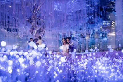 Dubai Dazzle Package – Sky View – AYA Universe – Luxury Dinner Cruise – Day For Your Memory