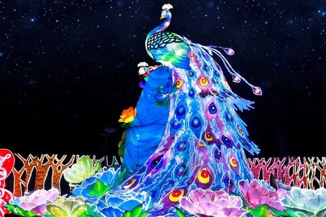 Dubai Glow Garden photo 4