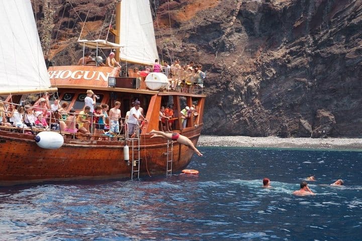 Whale & Dolphin Watching Experience + Los Gigantes And Masca 4