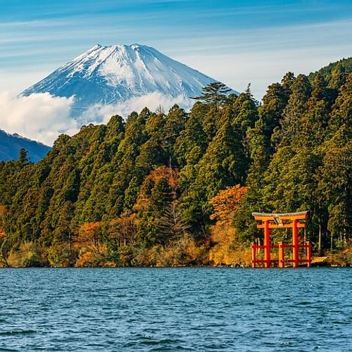 Mount Fuji and Hakone Private Day Trip by Car/Van - in English