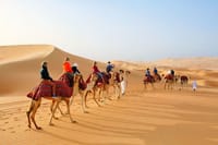 Camel Trekking In Abu Dhabi with Transfer, Fun and More 7