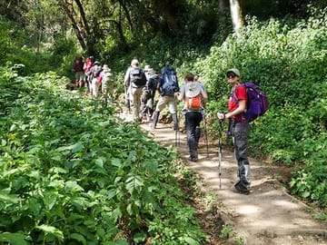 7 Day Kilimanjaro Climb – Machame route
