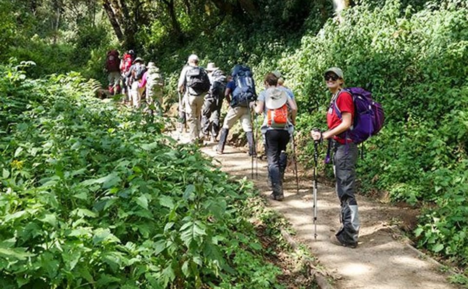 7 Day Kilimanjaro Climb – Machame route