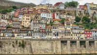 Private Porto Full-Day Tour: Cathedral, Lello and Wine Tastings 2