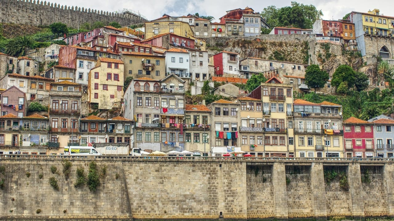 Private Porto Full-Day Tour: Cathedral, Lello and Wine Tastings 2