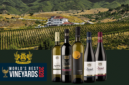 Wine Tasting & More in Villa Melnik – One of the World’s Best Wineries