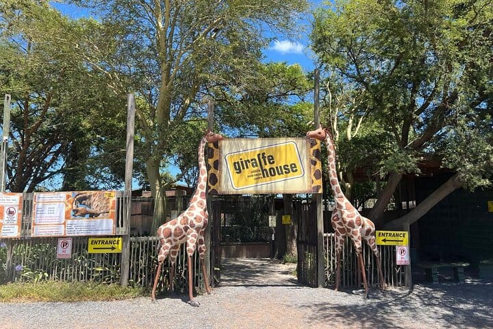 Giraffe Encounter and Lion Park with Wine Tasting in Stellenbosch