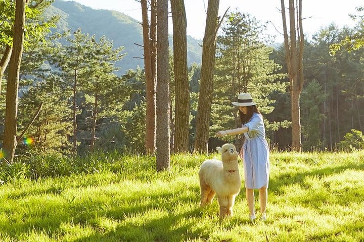 Autumn 10 days Jeonju&Mt.Naejangsan&Mt.Seorak&Mungyeong&Jeju&Busan on Early Nov