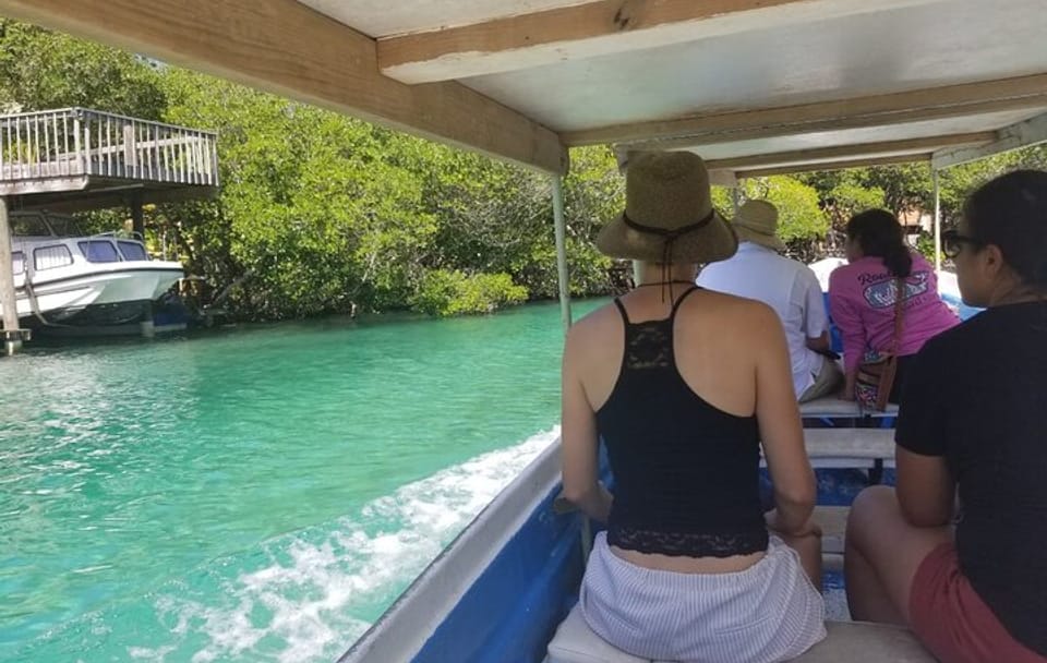 Mangrove Tunnel Tour and Garifuna Village Experience in French Harbour