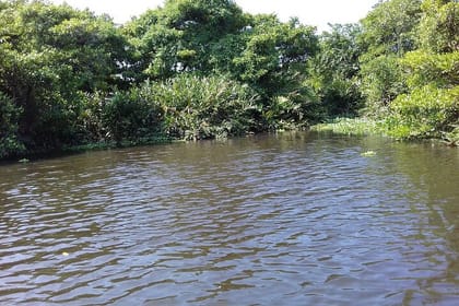Muthurajawela Sanctuary Bird Watching and Negombo Lagoon Boat Trip