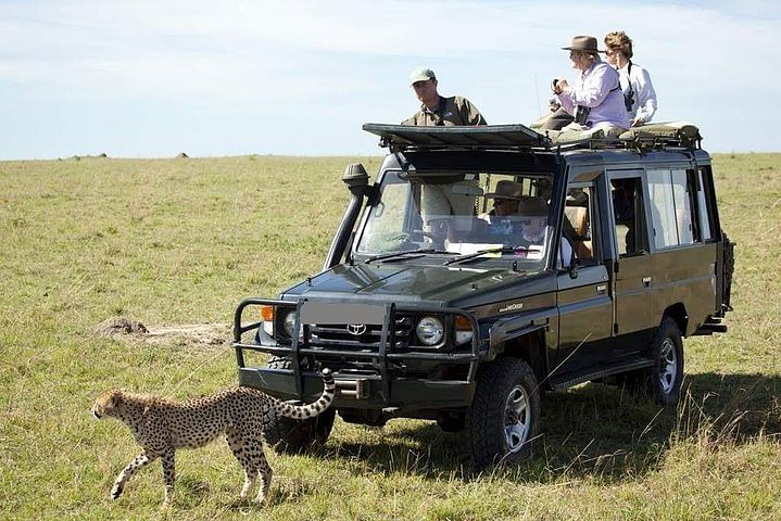 Private Jeep Safari Tour in Maasai Mara: Big Five Adventure from Nairobi