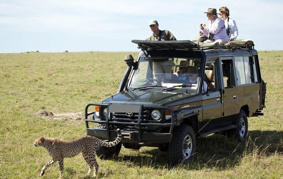Private 3-Day Jeep Safari in Maasai Mara from Nairobi