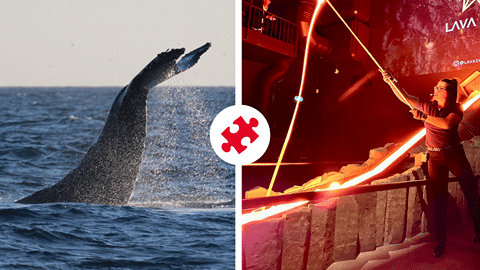 Combo tours in Iceland: worth it or book separately?