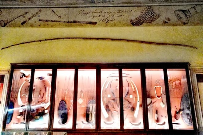 Venice Natural History Museum: Private Tour photo 3