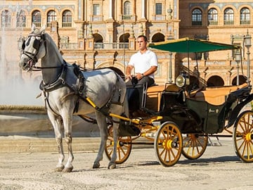 Horse and Buggy Ride in Seville with guide
