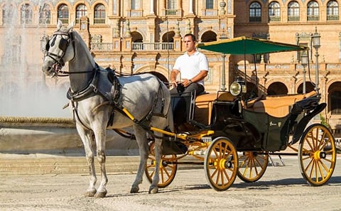 Horse and Buggy Ride in Seville with guide