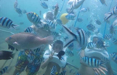 Cham Islands Full-Day Cruise with Underwater Walking from Hoi An