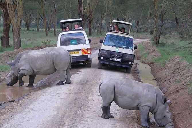rhino conservation-save the rhino-lake-nakuru