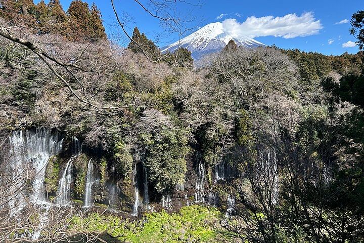 The Best Mt.Fuji area Tour from Shimizu Port / Van Taxi