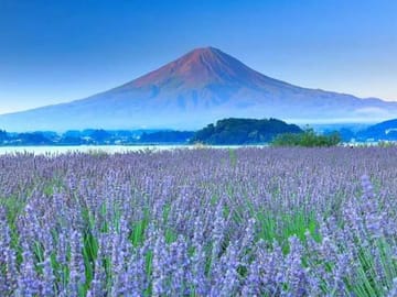 Mt. Fuji,Saiko Iyashi-no-Sato Nenba&Kawaguchi Lake