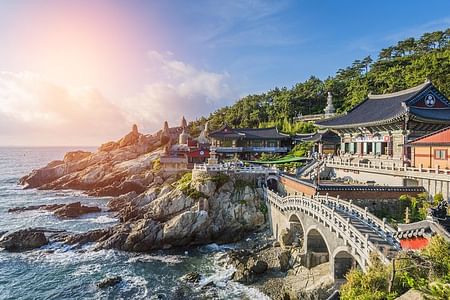 Busan Highlight Day Tour: Explore Temples, Markets & Local Cuisine