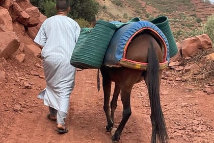 Marrakech: Ourika Valley & Waterfalls Day Trip and Berber Culture