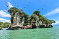 Samana Boat Tour Los Haitises Bacardi Island Full Day 2