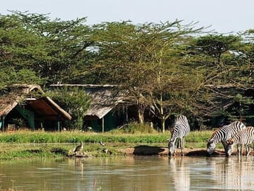 Nairobi Museum Snake Park Giraffe Center and Beads Center Tour